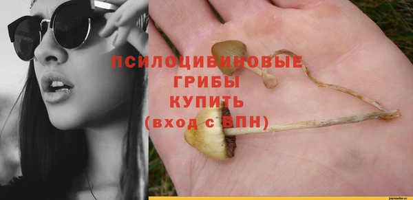 твердый Богородицк