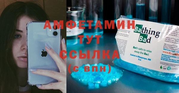 твердый Богородицк