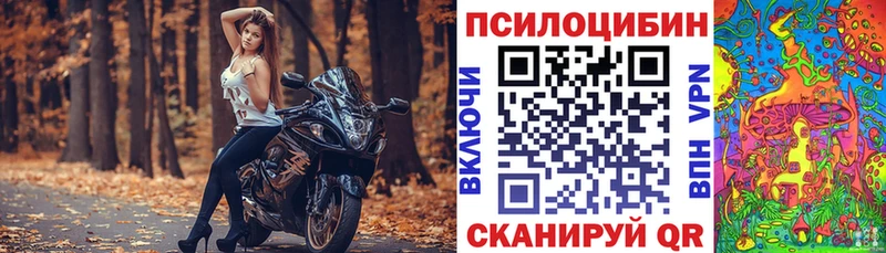 Псилоцибиновые грибы Psilocybe  Оренбург 